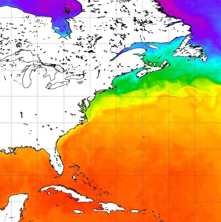 A few more transmissions