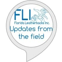 Hear our daily updates on your Alexa enabled device!