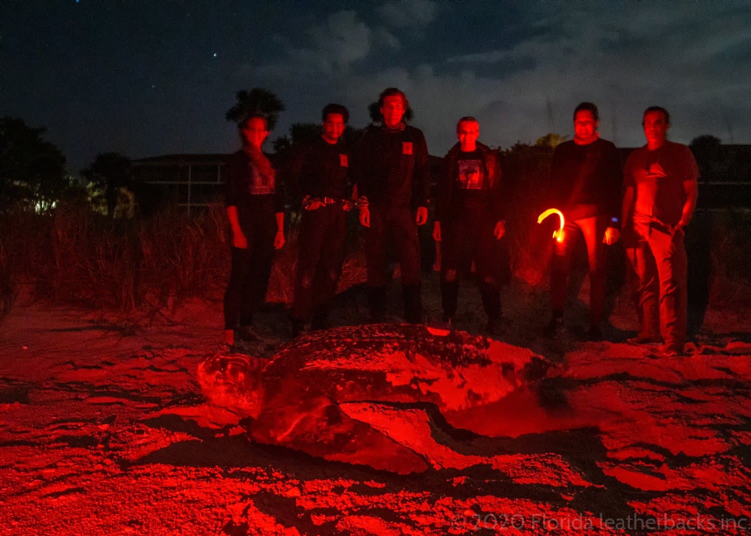 Say hello to Juniper!